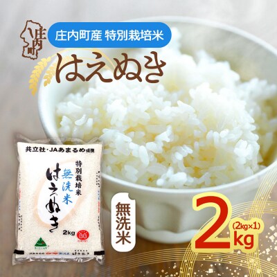 特別栽培米はえぬき無洗米 2kg×1袋 令和8年産 2026年産 ブランド米