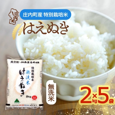 特別栽培米はえぬき無洗米 10kg 2kg×5袋 令和8年産 2026年産 ブランド米