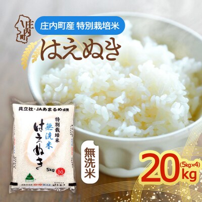 特別栽培米はえぬき無洗米  20kg 5kg×4袋 令和8年産 2026年産 ブランド米