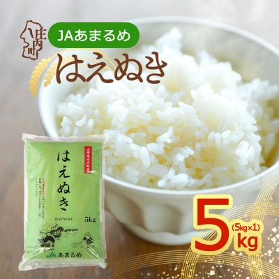JAあまるめ 山形県庄内町産 はえぬき 5kg×1袋 令和8年産 2026年産 ブランド米
