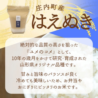 吉祥ファーム はえぬき kg 令和8年産 2026年産 ブランド米