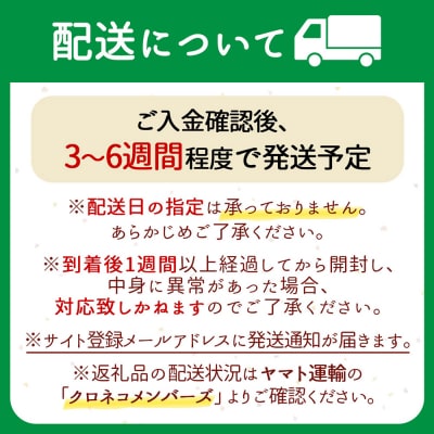 U米MON 庄内町産 つや姫 10kg 5kg×2袋 令和8年産 2026年産 ブランド米