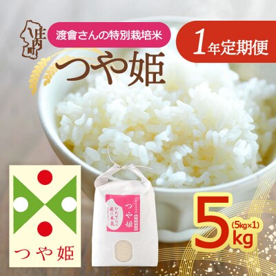 【定期便】<令和8年産/9年産>渡會さんのつや姫 5kg×1袋×1年間 毎月5kg【12月中旬発送】