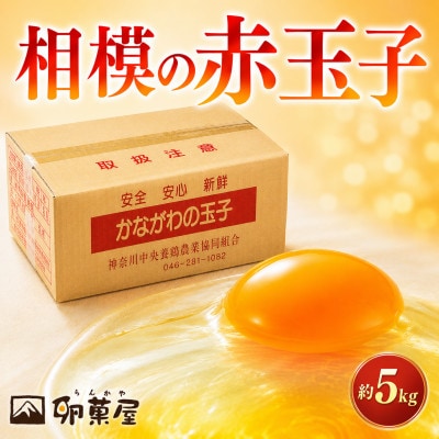 相模の赤玉子約5kg　75個+割れ保証5個　～ 神奈川県 愛川町 ～