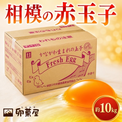 相模の赤玉子約10kg　140個+割れ保証10個前後