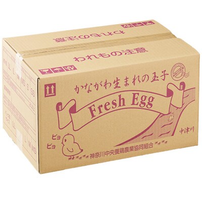 相模の赤玉子約10kg　140個+割れ保証10個前後