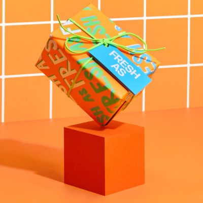 LUSH (ラッシュ) フレッシュアズギフト シャワー2種セット
