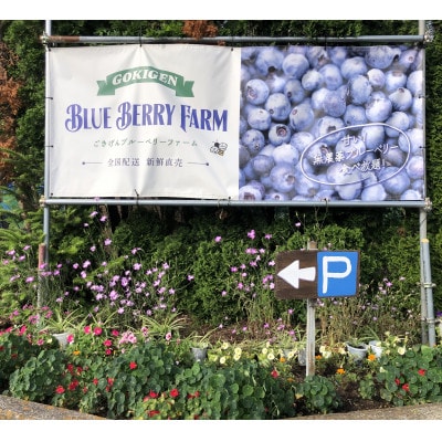 ごきげんブルーベリーファームの食べ放題チケット(中学生以上2枚)