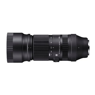 SIGMA 100-400mm F5-6.3 DG DN OS | C　Lマウント用
