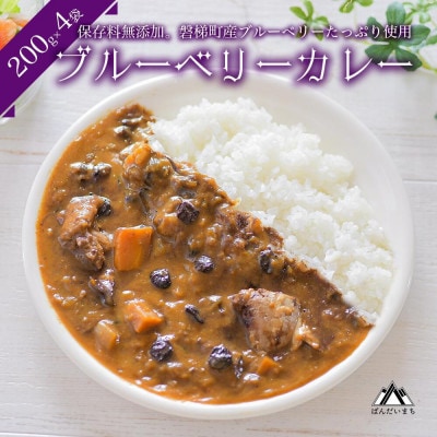 ブルーベリーカレー 200g×4袋