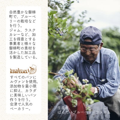 ラスク(ブルーベリー)(米粉入り)5個セット　磐梯町産米粉使用