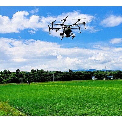2022年6月発送開始『定期便』 会津エコ米　磐梯町産　ひとめぼれ　10kg(5kg×2袋)全3回