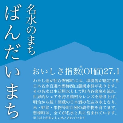 【備蓄】磐梯のおいしい備蓄セット(ナチュラルミネラルウォーター・玄米パックごはん)