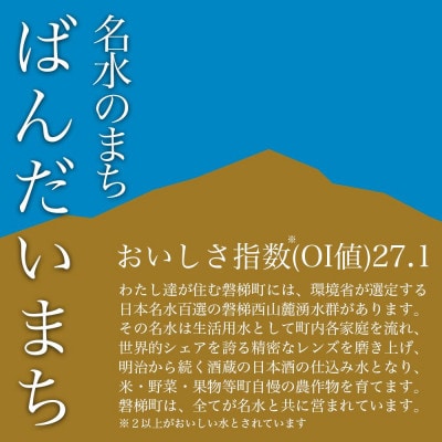 【グルテンフリー】特別栽培米使用グルテンフリー玄米麺(100g×10個)