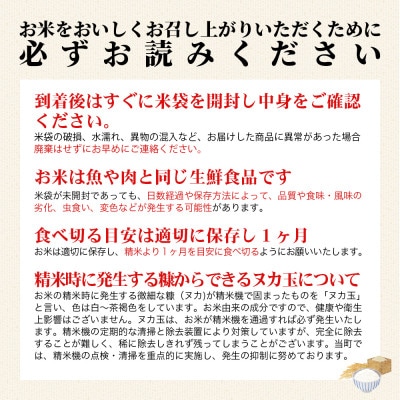 【令和7年産米・新米】コシヒカリ10kg　磐梯町の名水で育ったコシヒカリ