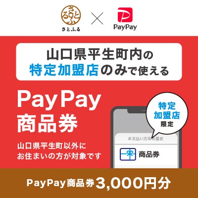 山口県平生町　PayPay商品券(3,000円分)※地域内の一部の加盟店のみで利用可