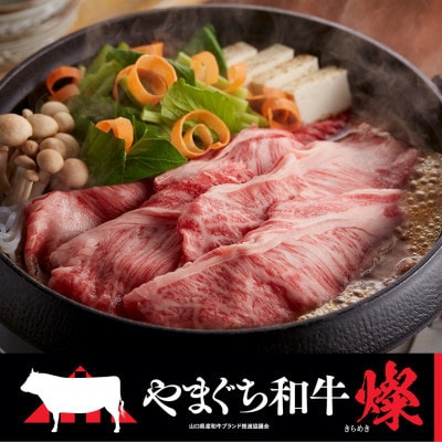 【日本一受賞:牛肉】やまぐち和牛燦(きらめき) 豪華満喫セット(1.7kg)(平生町)