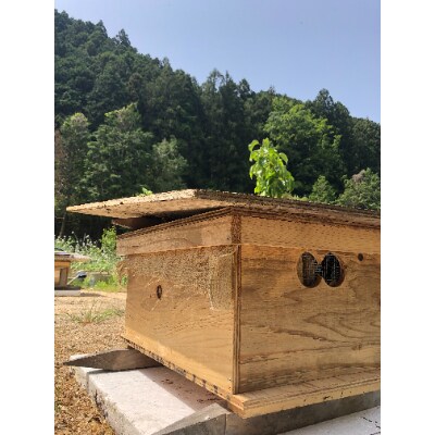 はちみつ2個とウコン3袋のセット