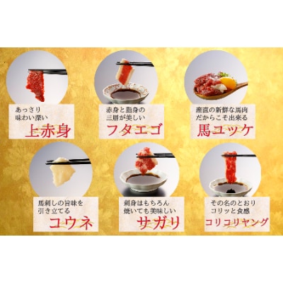 6種類の馬刺し(上赤身・コウネ・コリコリヤング・サガリ・フタエゴ・ユッケ)計470g(合志市)