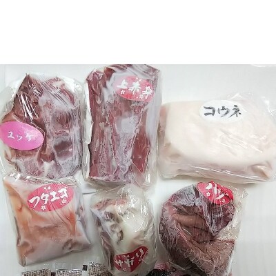 馬刺し6種 約420g(合志市)