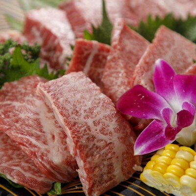 A5ランク　くまもと黒毛和牛　特選焼肉用500g(合志市)