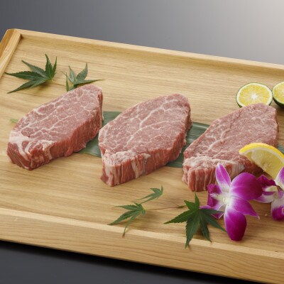 A5ランク　くまもと黒毛和牛　ヒレステーキ450g(合志市)