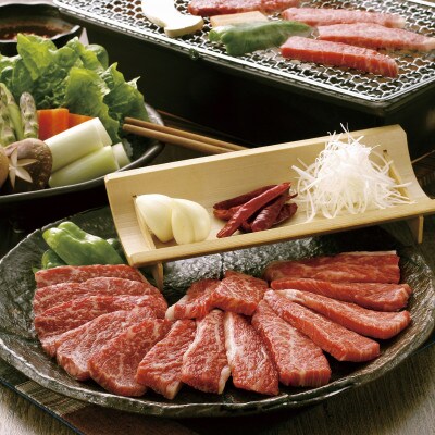 GI認証くまもとあか牛　焼肉用400g(合志市)