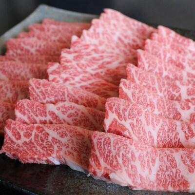 厳選されたGI認証　くまもとあか牛　特選焼肉用　500g(合志市)