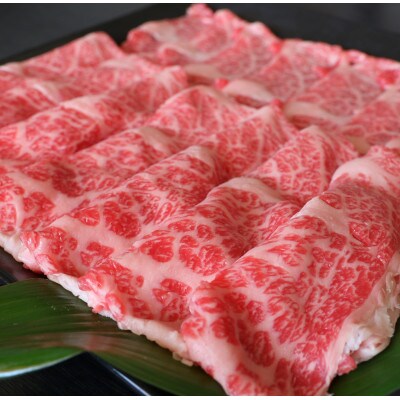 厳選されたGI認証　くまもとあか牛　特選すき焼き用　500g(合志市)