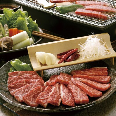 【毎月定期便】GI認証くまもとあか牛　焼肉用400g(合志市)全3回