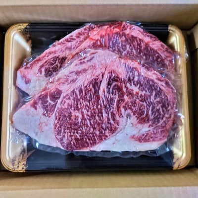 【毎月定期便】肥後の赤牛 ロースステーキ 500g(熊本県産和牛)(合志市)全3回