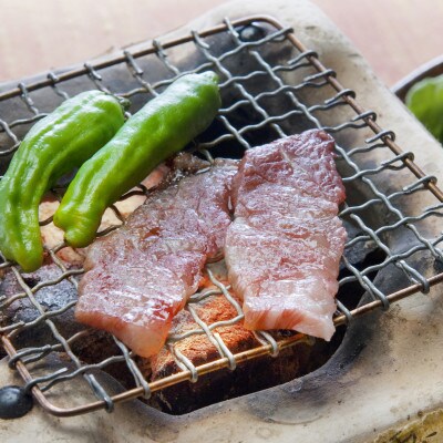 【毎月定期便】肥後の赤牛　焼肉用　500g(熊本県産和牛)(合志市)全6回