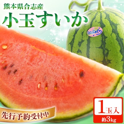 熊本県合志産小玉すいか1玉入