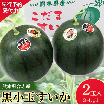 熊本県合志産黒小玉すいか2玉入