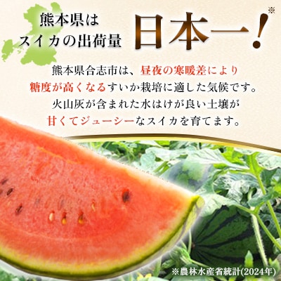 熊本県合志産黒小玉すいか2玉入