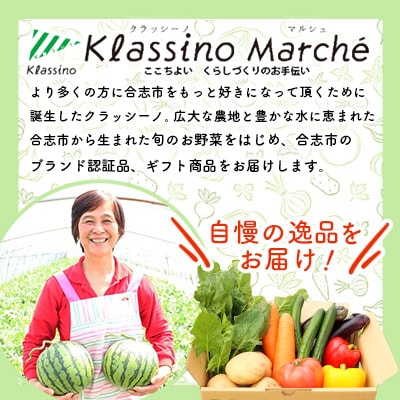 熊本県合志産黒小玉すいか2玉入