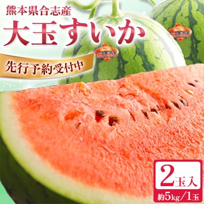熊本県合志産大玉すいか2玉入(Mサイズ)