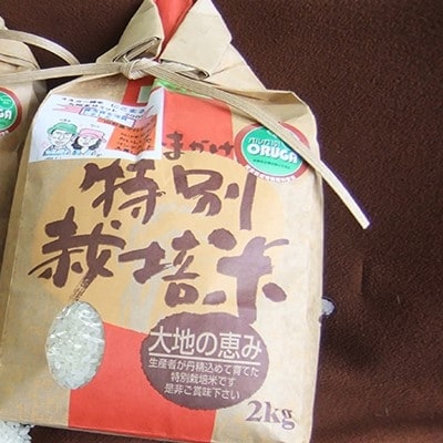【2023年3月上旬発送】熊本県合志産いちじょう米(品種にこまる)2kg