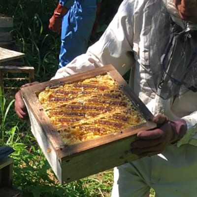 立山養蜂場　国産百花蜂蜜1kg