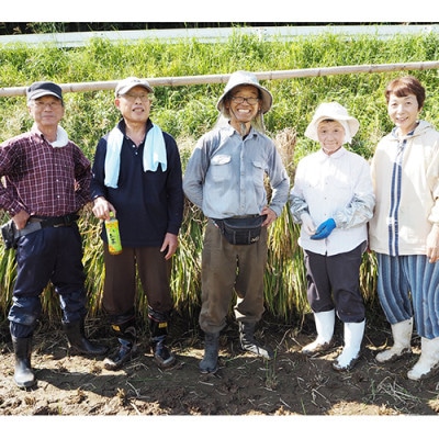 わぶ城湧水農園の精米5kg