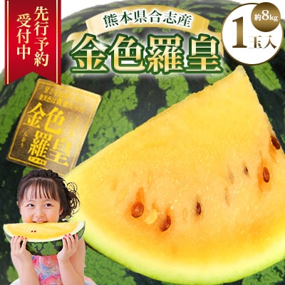 熊本県合志産　金色羅皇1玉入