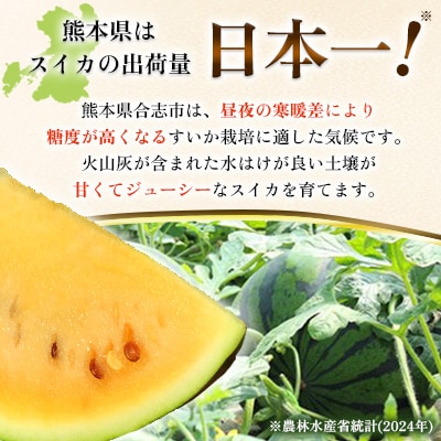 熊本県合志産　金色羅皇1玉入