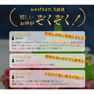 赤身馬刺しセット 合計約500g 50g×10パック(合志市)