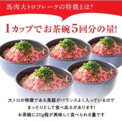 馬肉大トロフレーク 300g 約100g×3カップ(合志市)