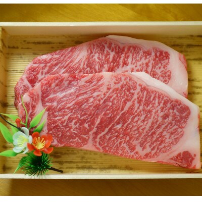 GI認証 くまもとあか牛サーロインステーキ 200g×2(合志市)