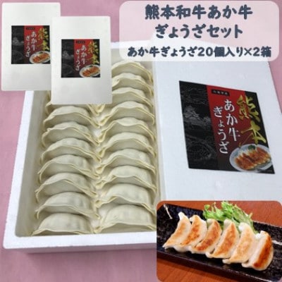 あか牛ぎょうざセット(あか牛餃子20個入り×2箱)(合志市)