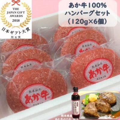 あか牛100%ハンバーグセット(あか牛ハンバーグ120g×6個 あか牛のたれ200ml)(合志市)