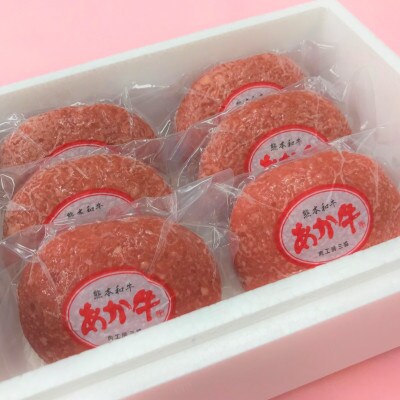 あか牛100%ハンバーグセット(あか牛ハンバーグ120g×6個 あか牛のたれ200ml)(合志市)