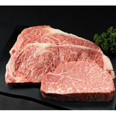 あか牛極上ヒレ&サーロインステーキセット (ヒレ150g サーロイン200g×2 たれ付)(合志市)