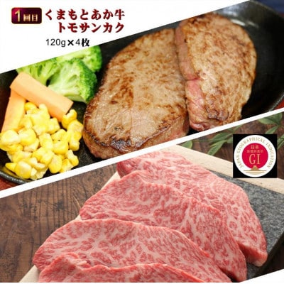 【毎月定期便】【GI認証】くまもとあか牛 食べ比べ Eセット(合志市)全3回